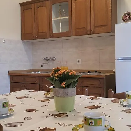 Anita Apartment