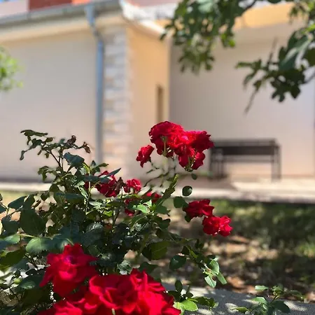 Apartman Anita